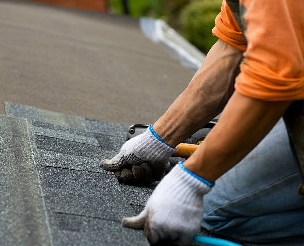 Best Metal Roofing Contractor  in Columbus, KS